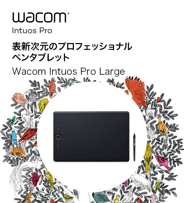 Wacom Intuos Pro Large