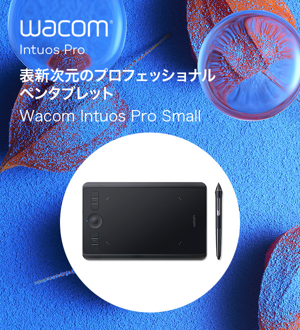 Wacom Intuos Pro Small